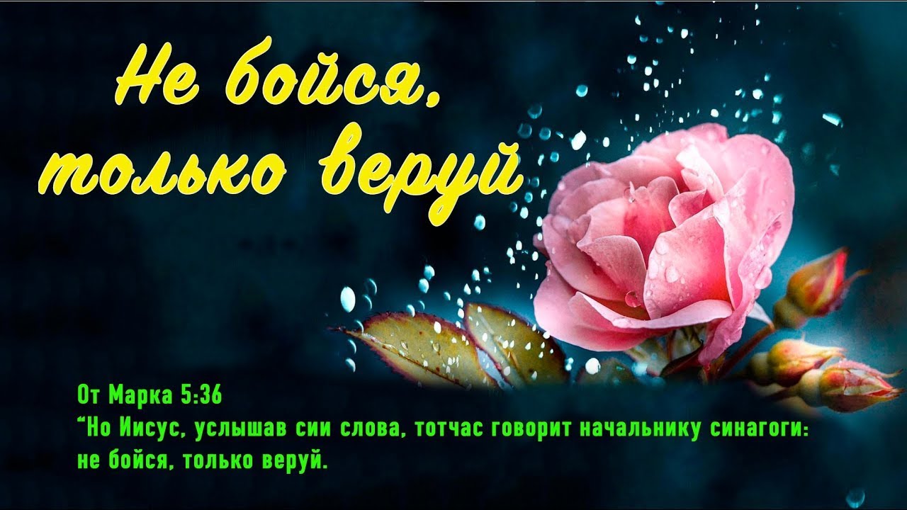 Не бойся, только веруй