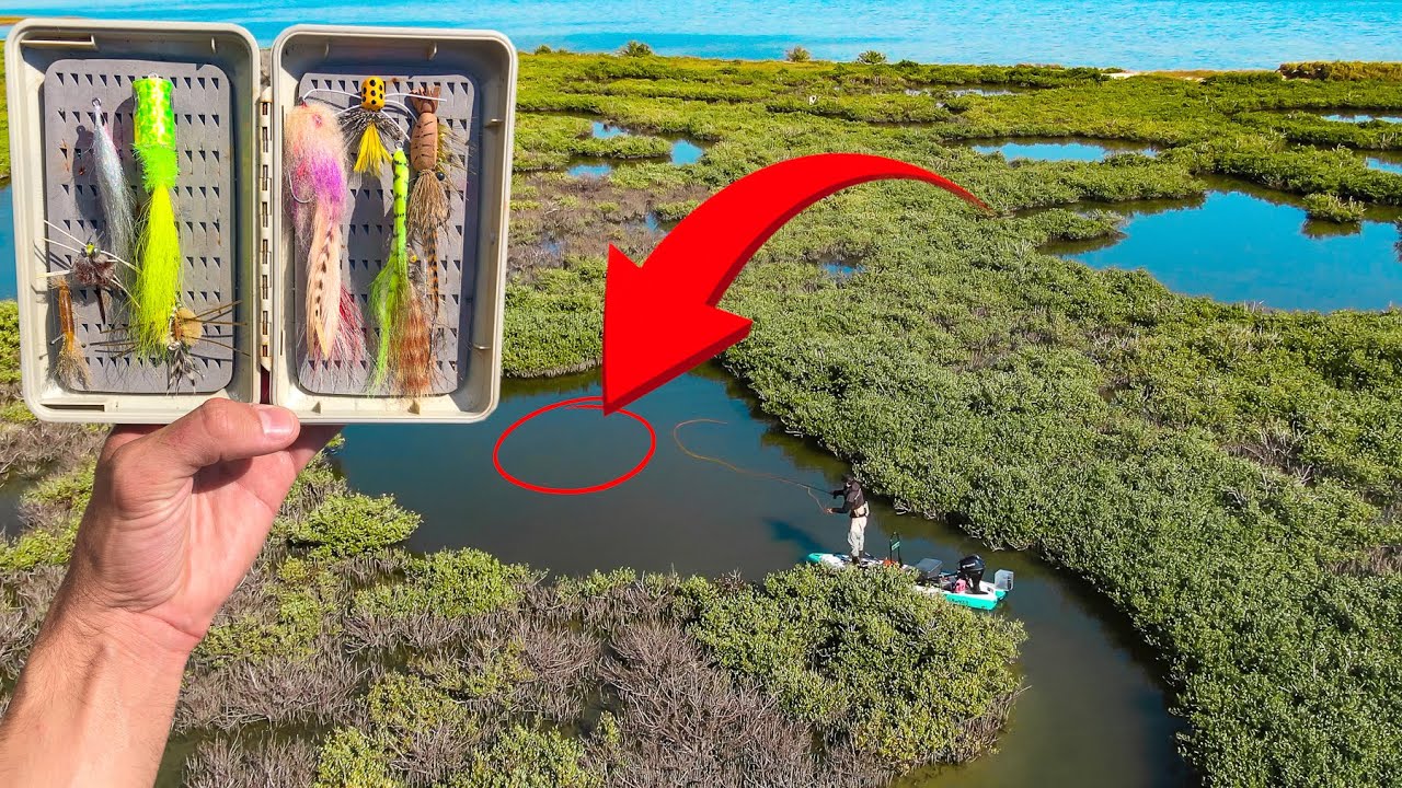 found THE CUT with hundreds of fish - SALTWATER FLYFISHING