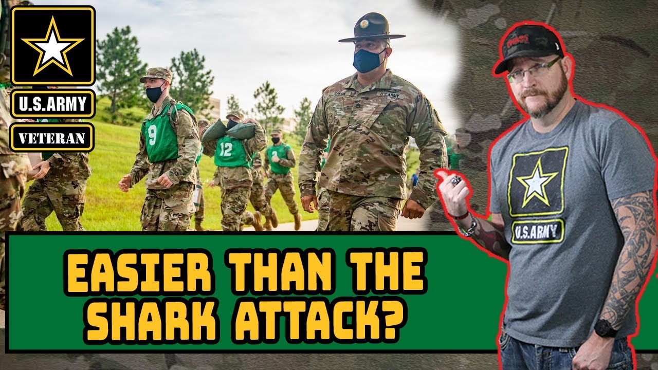 Reacting to the Army Shark Attack replacement | Is it easier?