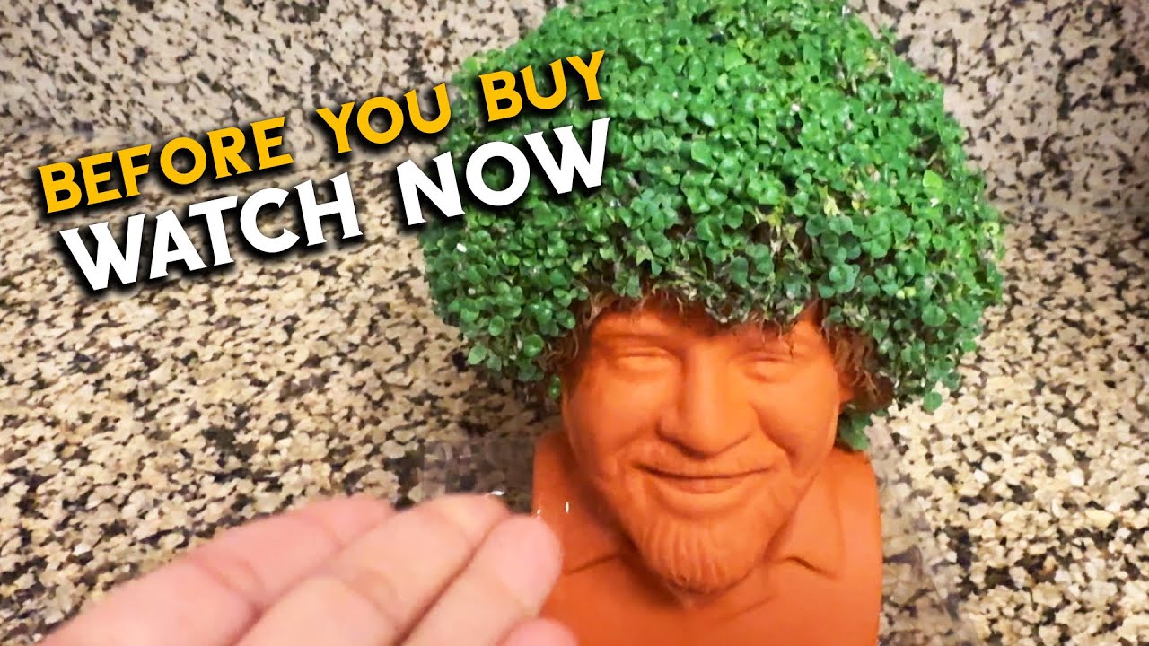 Chia Pet's Growing Tutorial for Bob Ross Instructions to Grow from Seeds onto Planter Review