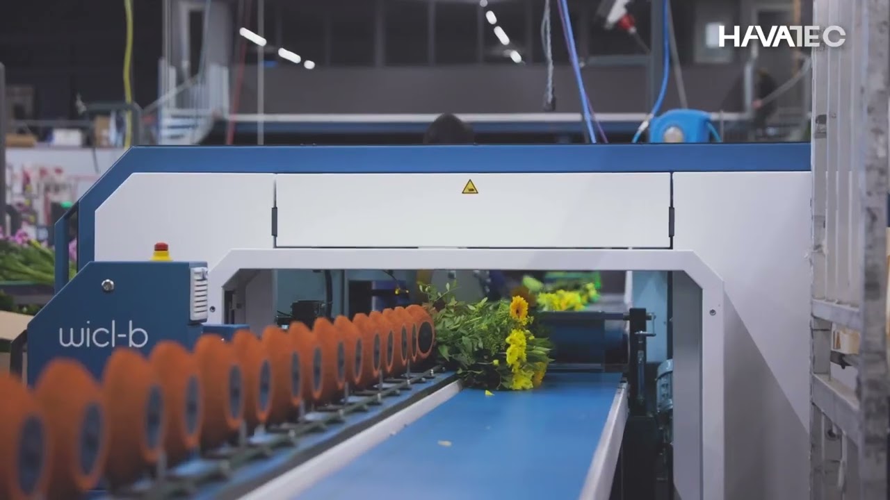 Havatec Twister