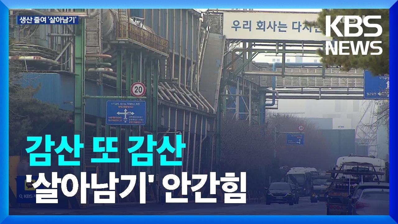 ‘중국 공습에 트럼프 리스크’…감산·또 감산 철강업계 / KBS  2025.01.14.