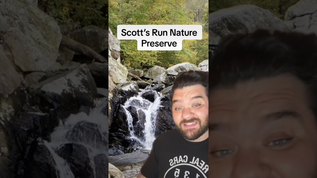 5 Hiking Trails in Northern Virginia