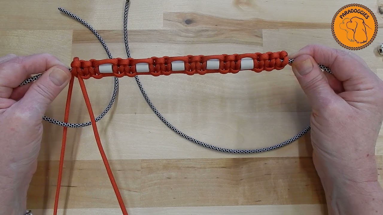 Cobra-Zeckenband | Paracord tutorial DEUTSCH