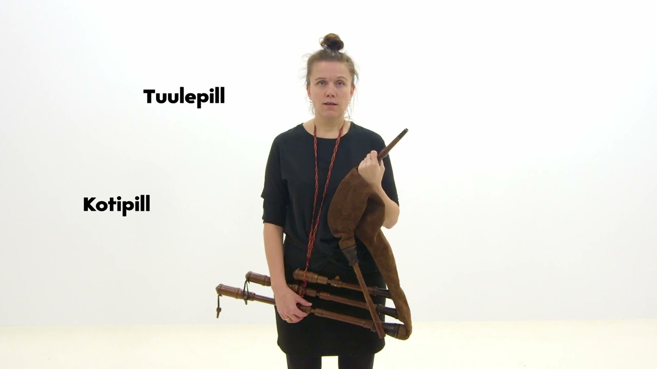Millest koosneb torupill?