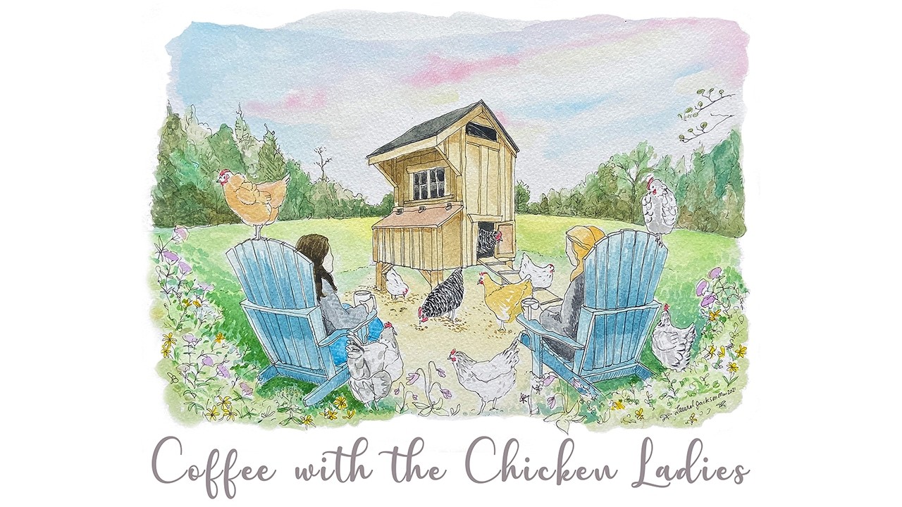 Episode 272 Cochin Chicken / All About Winter Layers / Mud Hen Bars / Nutrena Naturewise Tidbits