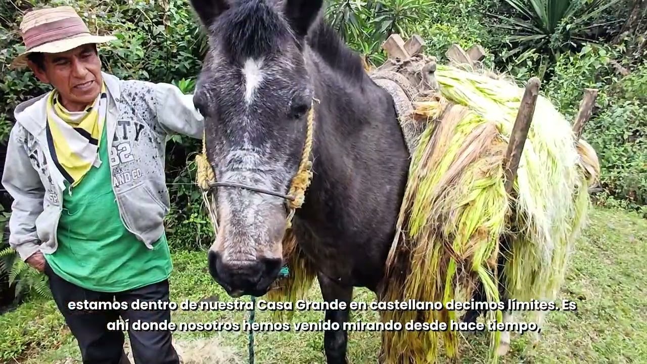 Reafirmando y clarificando nuestro territorio.