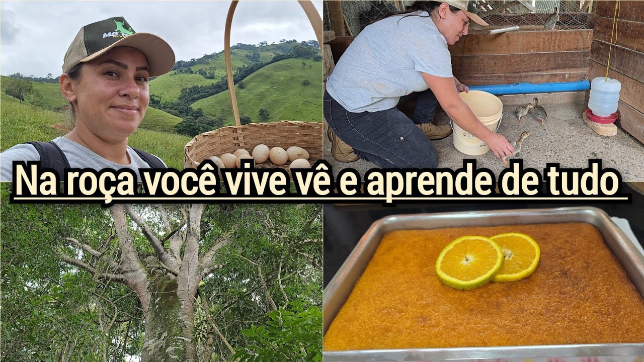 NAS SERRAS CAÇANDO OVOS/MUDEI AS ANGOLINHAS DE LUGAR/NOTÍCIA TRISTE😢BOLO DE LARANJA🍊 