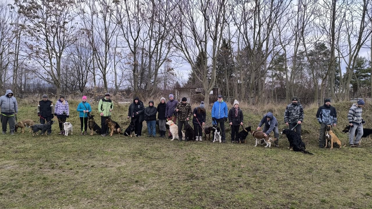 Kynologicky klub SMILE of DOG - Nové Mesto nad Váhom.