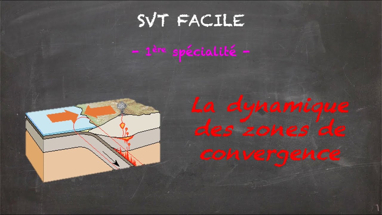 SVT FACILE - 1ère spé. - La dynamique des zones de convergence