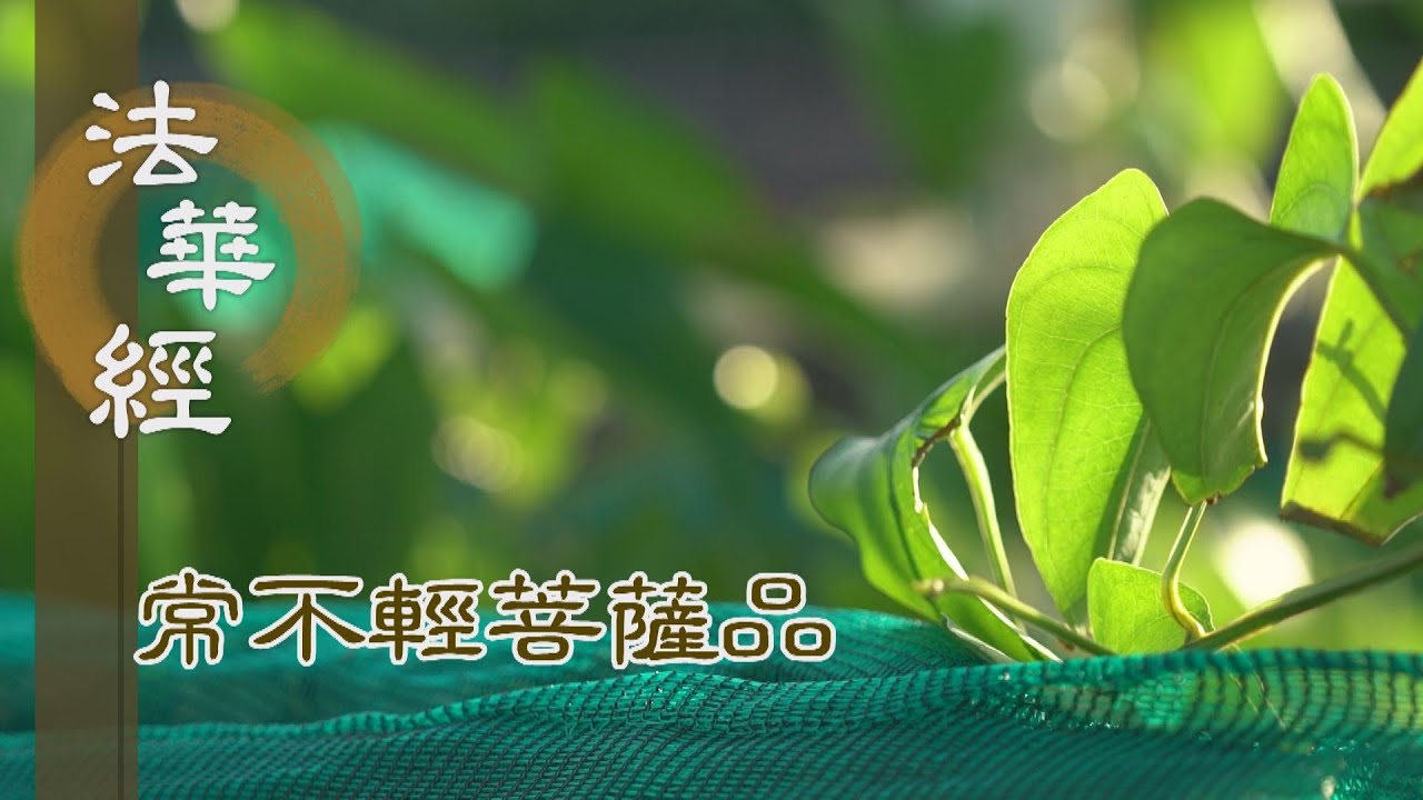 【靜思妙蓮華】法華經常不輕菩薩品 - 違緣逆增 益堅道心 - 第1730集 20240730  (ENG CC)