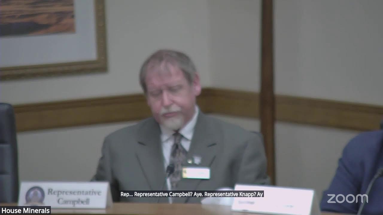 House Minerals, Business & Economic Development, February 13, 2026
