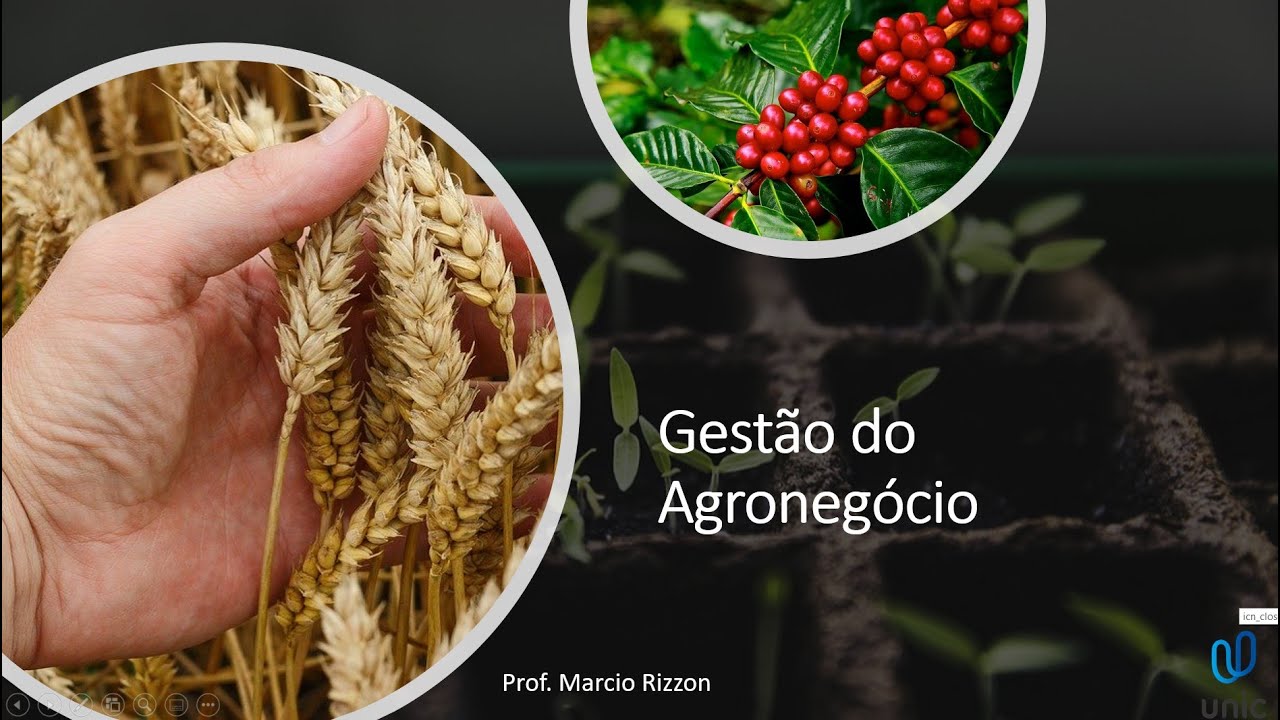 Gestão do Agronegócio  - Aula 4