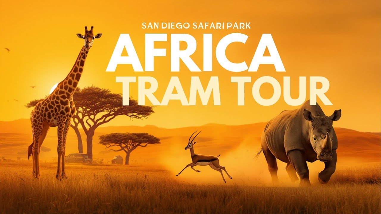 Africa Tram Tour: San Diego Safari Park Ultimate Adventure [4K POV] 🐘🦒🌿