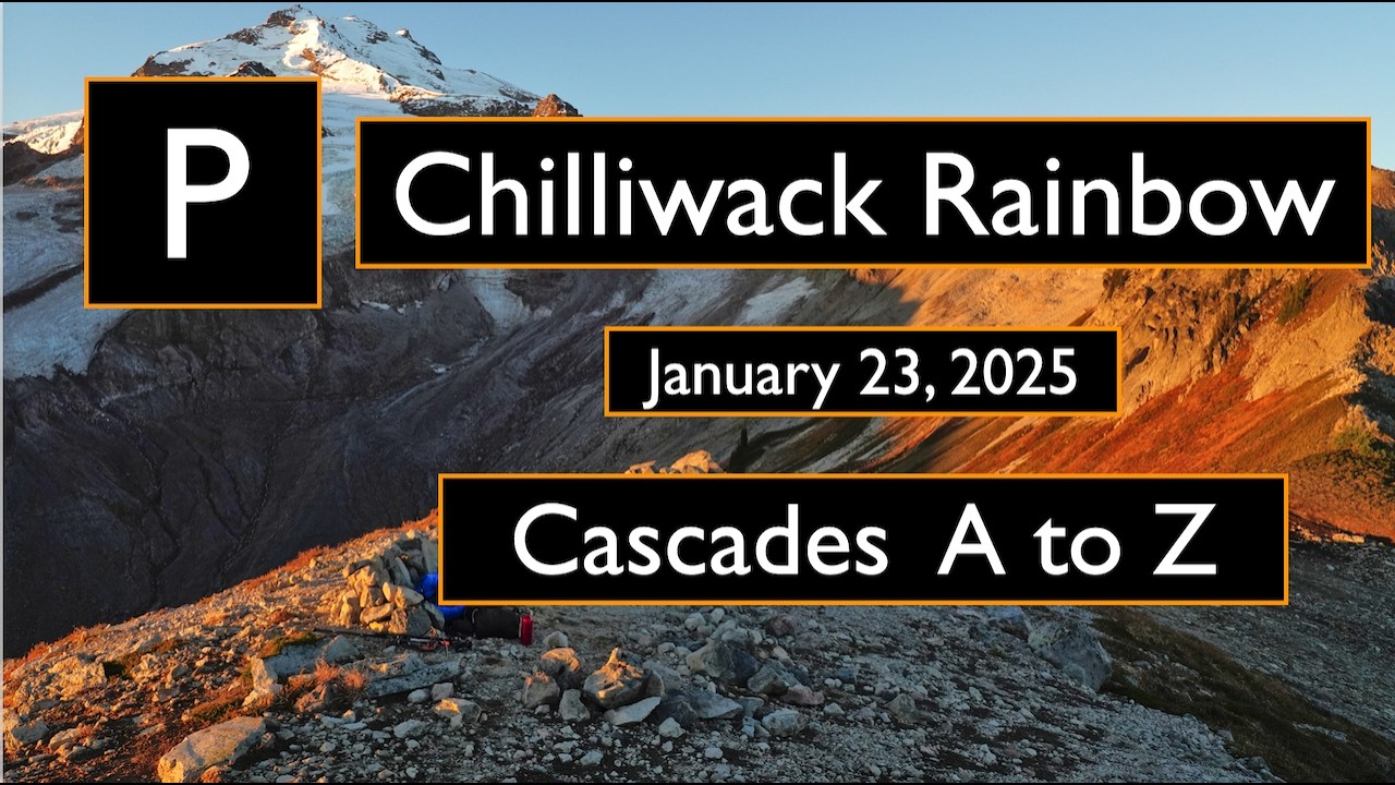 P.  Chilliwack Rainbow