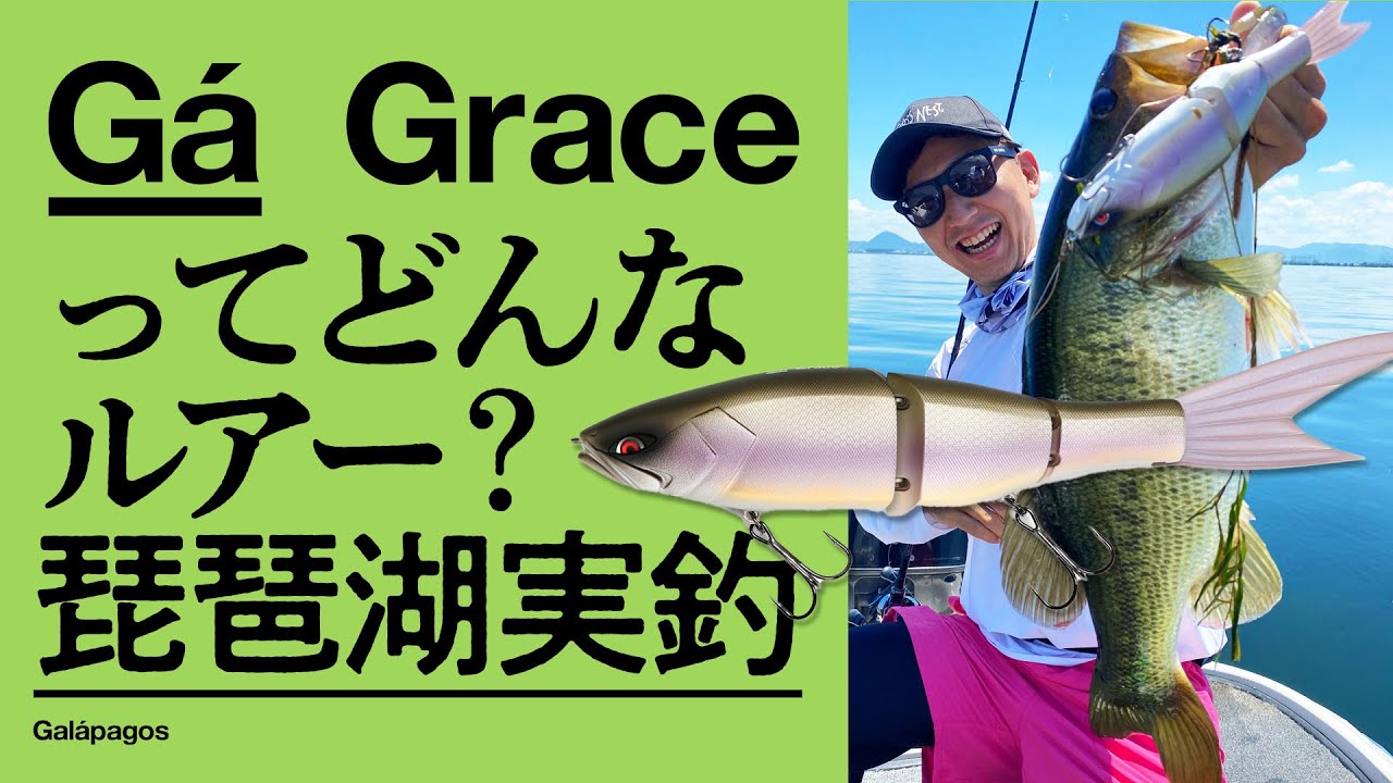 Gá Grace(グレイス) 240F ってどんなルアー？琵琶湖実釣映像とともにご紹介します！【新作ビッグベイト】