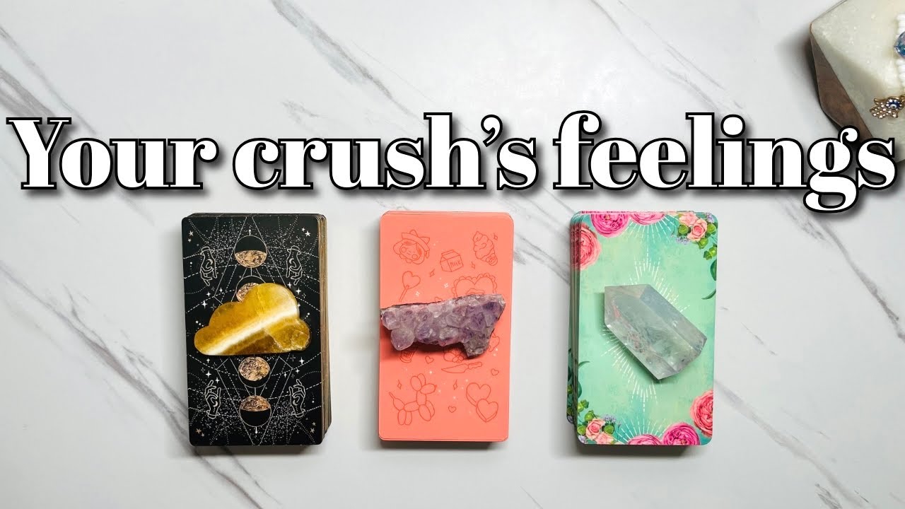 How Your Crush Feels About You💕🥰 Pick a Card Love Tarot Reading✨
