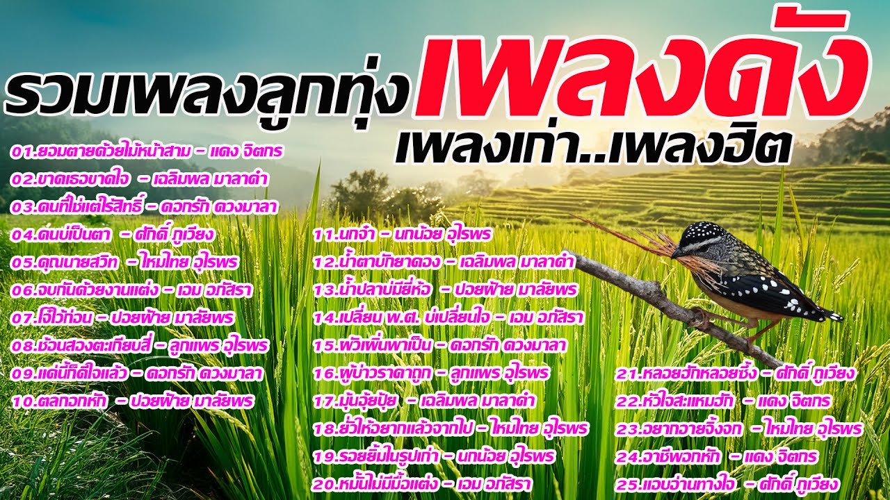 รวมเพลงลูกทุ่งเพลงดังเพลงเก่า