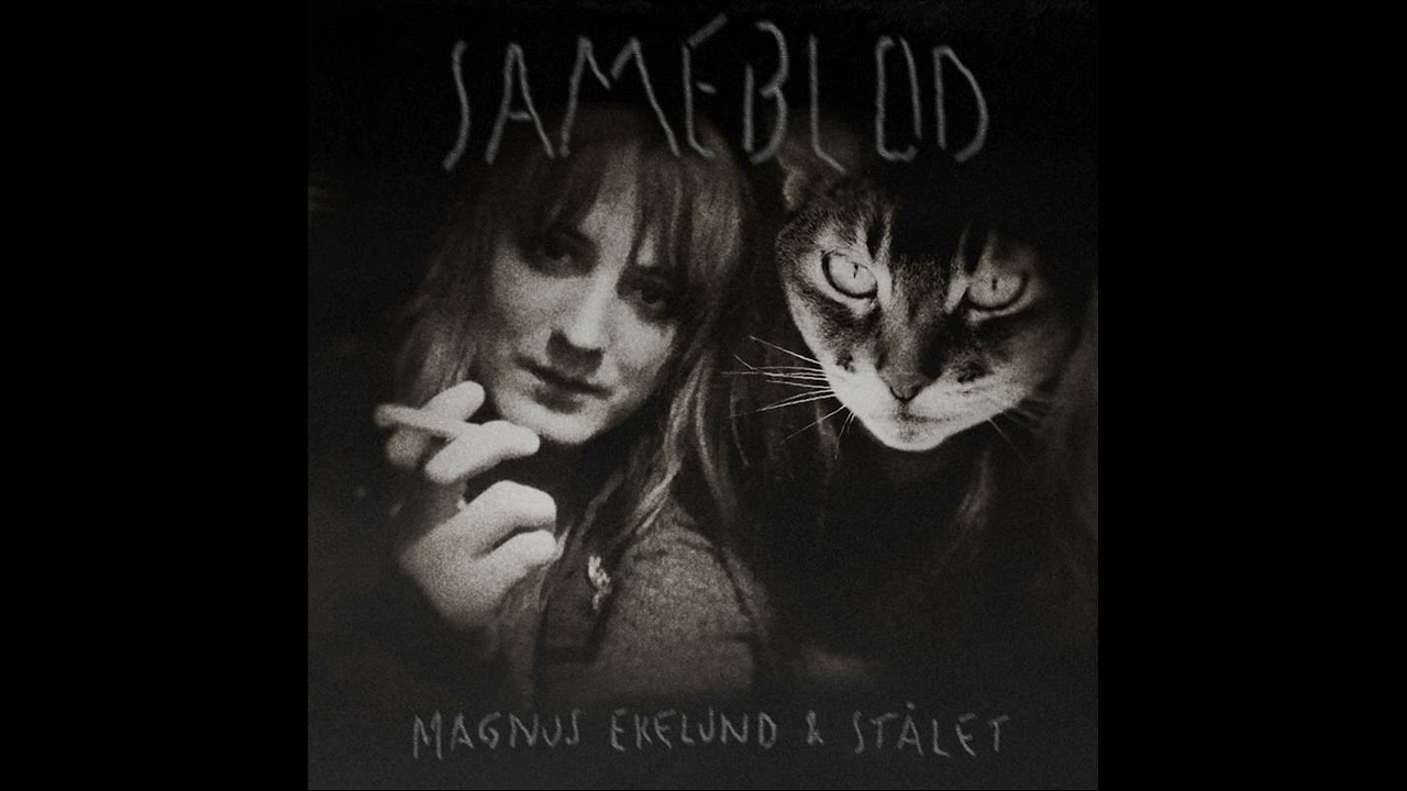 Magnus Ekelund & Stålet – Här kommer solen