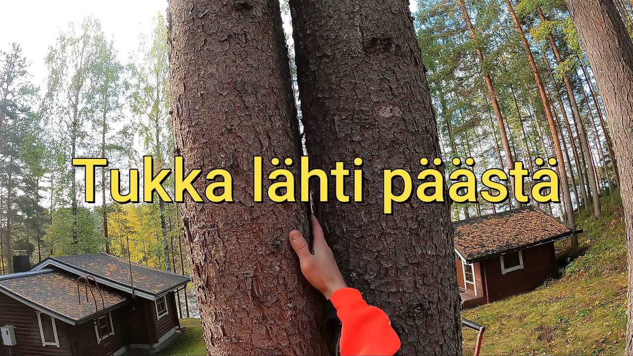 Tukka lähti päästä - Videon lopuksi vähän selittelyjä