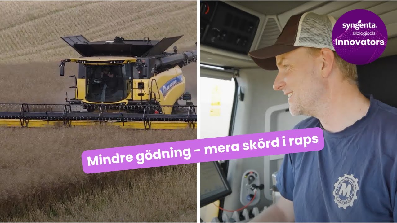 Mindre g&ouml;dning mera sk&ouml;rd i raps - Vixeran-test p&aring; riktigt, h&ouml;r analysen efter sk&ouml;rd
