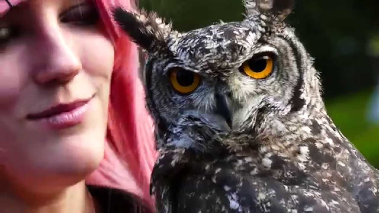Elfia Arcen 2015 (Elf Fantasy Fair Arcen: Costume & Cosplay Video in 4K UHD)