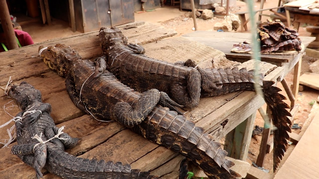EKIUWA VILLAGE MARKET TV ROAD BENIN CITY 