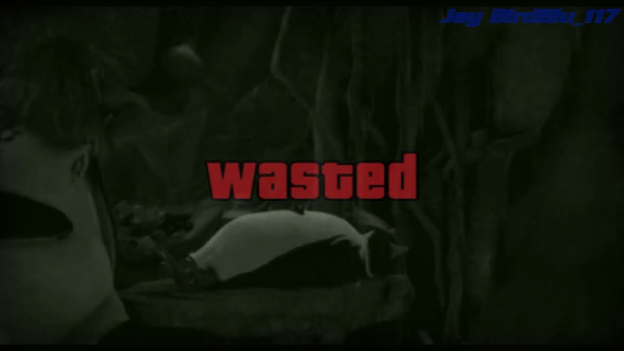 Surf's Up | Geek's Fun Time with Cody [Random] [HD]