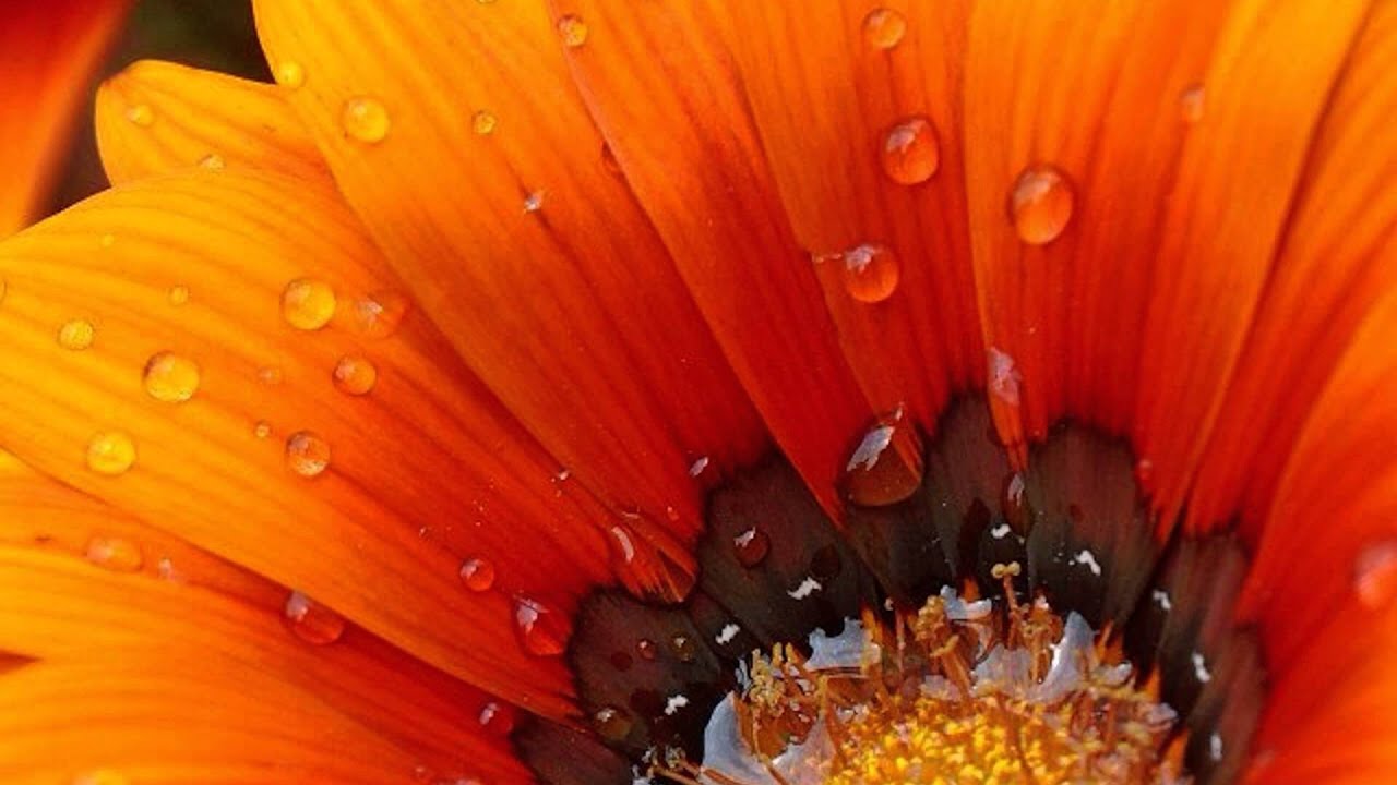 💙 Ohjattu meditaatio - Sakraalichakra (2)