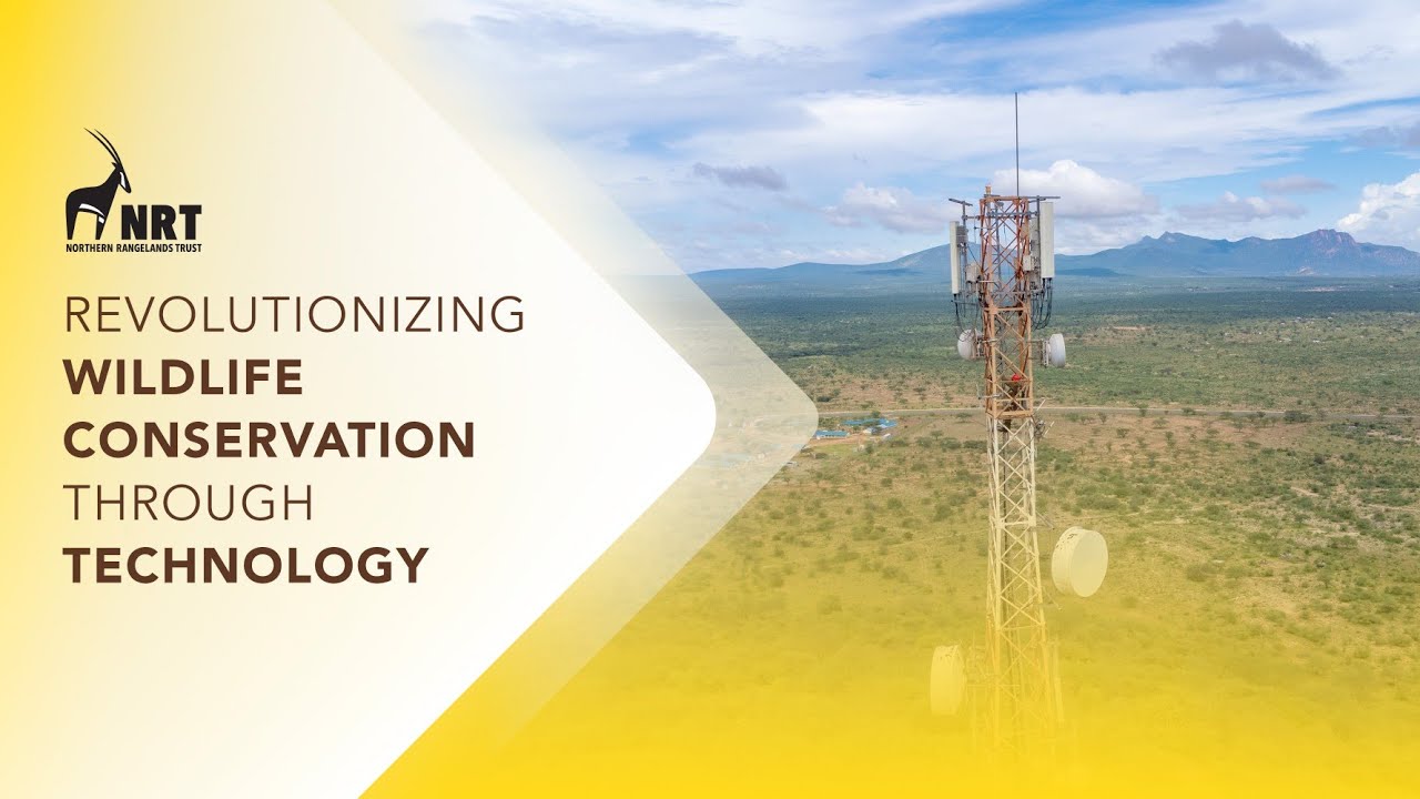 Revolutionizing Wildlife Conservation Through Technology