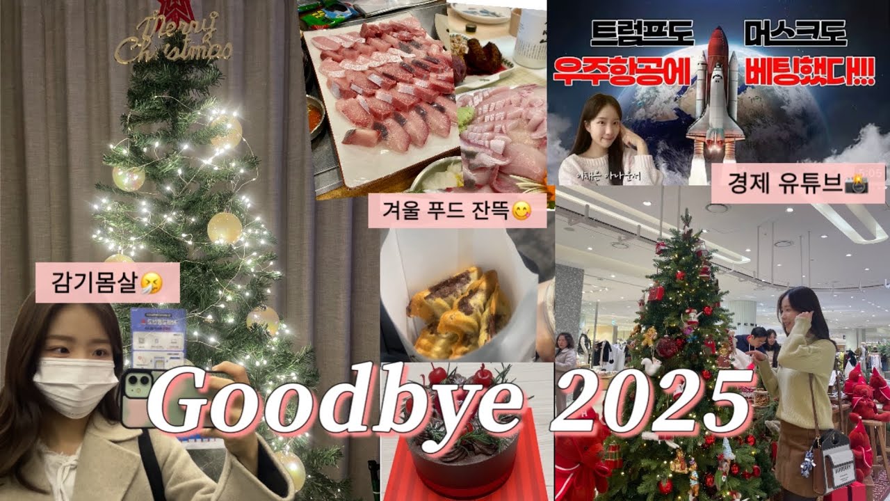 [vlog] 짧은 연말 브이로그