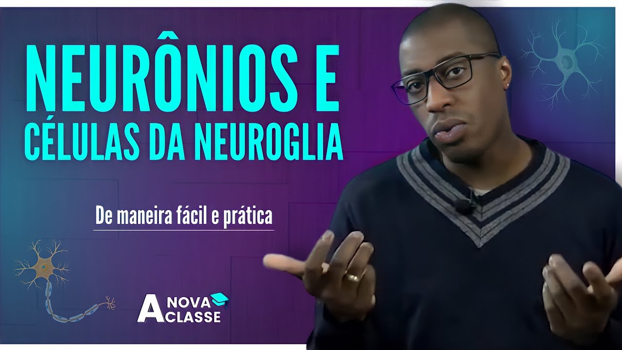 ENTENDA de uma vez como funciona a NEUROANATOMIA BÁSICA