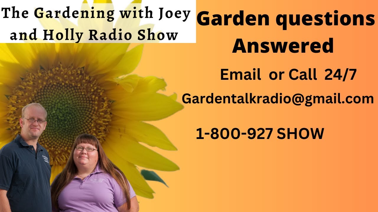 S8E9 Garden questions strawberries, raspberries, cucumbers, zucchini, poison ivy & raised beds