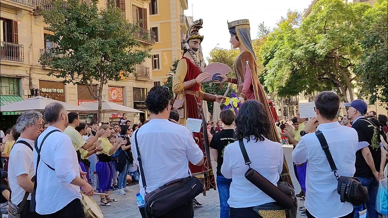 Els Gegants de l'Arboç al So de 