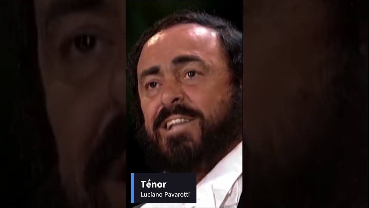 Les voix d'hommes (contret&eacute;nor, t&eacute;nor, baryton, basse)