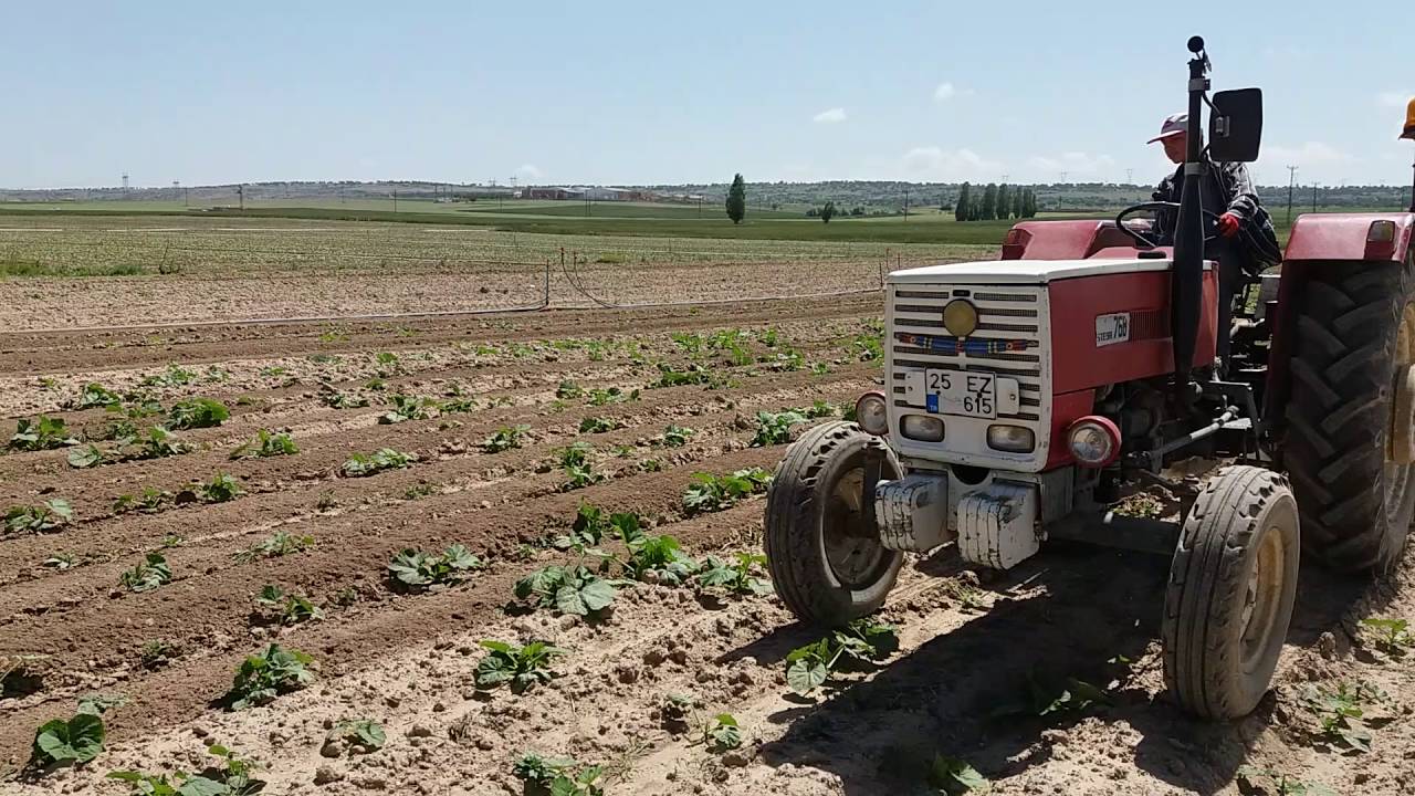 Til köyü kabak ara çapası steyr 768