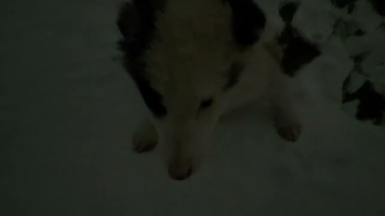 ДОБРОГО  Всего Вам хорошего Зрители в Ютуб Канал Февралюша вышли на прогулка ночью снег идёт 