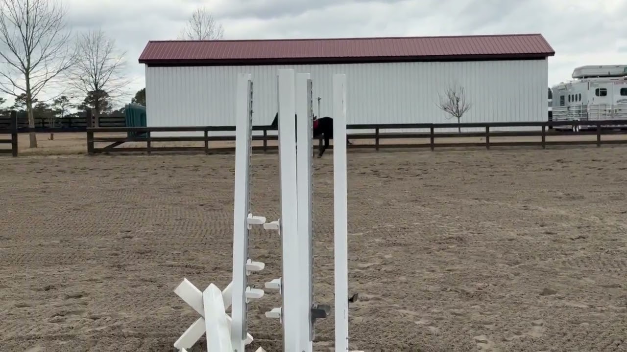 Flora, Draft Cross Mare for Sale
