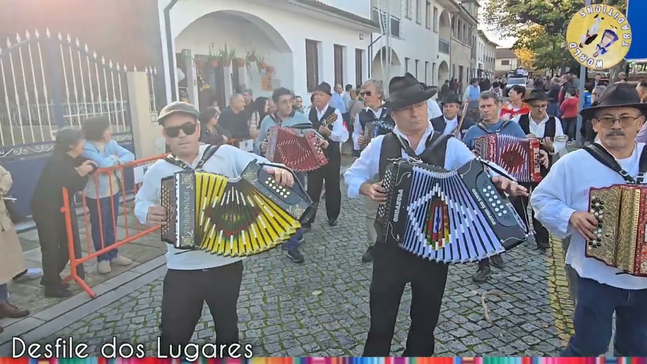 Traditions 🎵Music 🪗Cortejo dos Lugares |São Martinho da Gandra