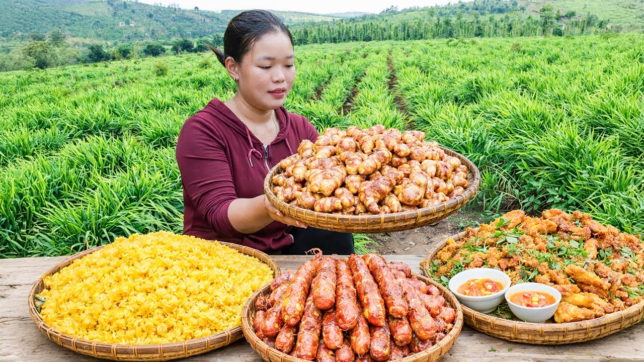 How to Harvest Turmeric Root for the Market - Cook Traditional Dishes - Rural Life | Trieu Mai Huong