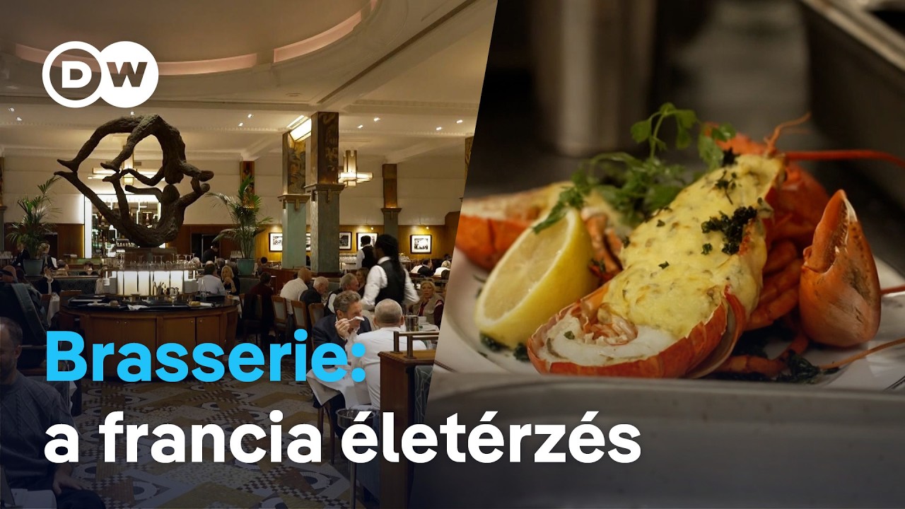 Sörfőzdéből kultikus étterem: ezért imádják a franciák a brasserie-ket