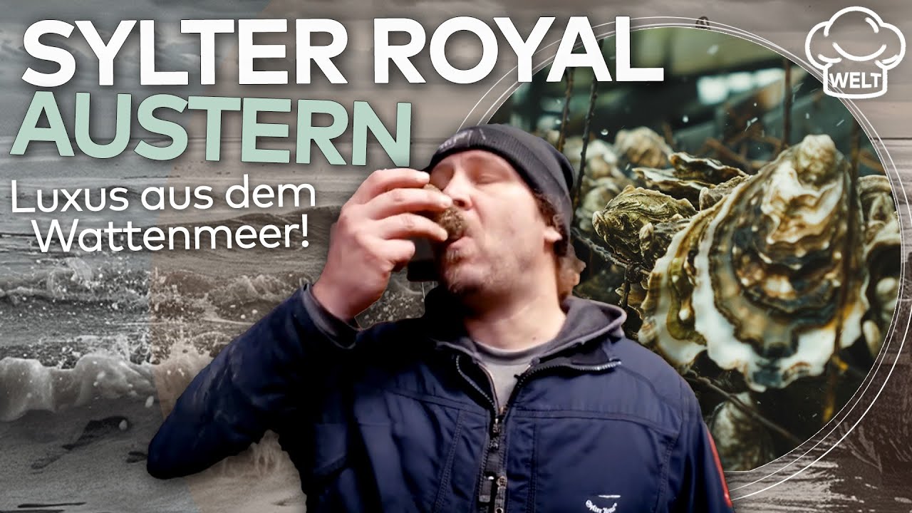 EXKLUSIVER KNOCHENJOB AUF SYLT: Deutschlands einzige Austernzucht im Wattenmeer | FOOD MAGAZIN