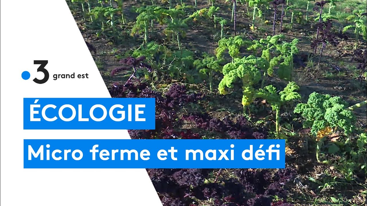 Les micro-fermes : exemple avec l'arbre de vie à Liverdun