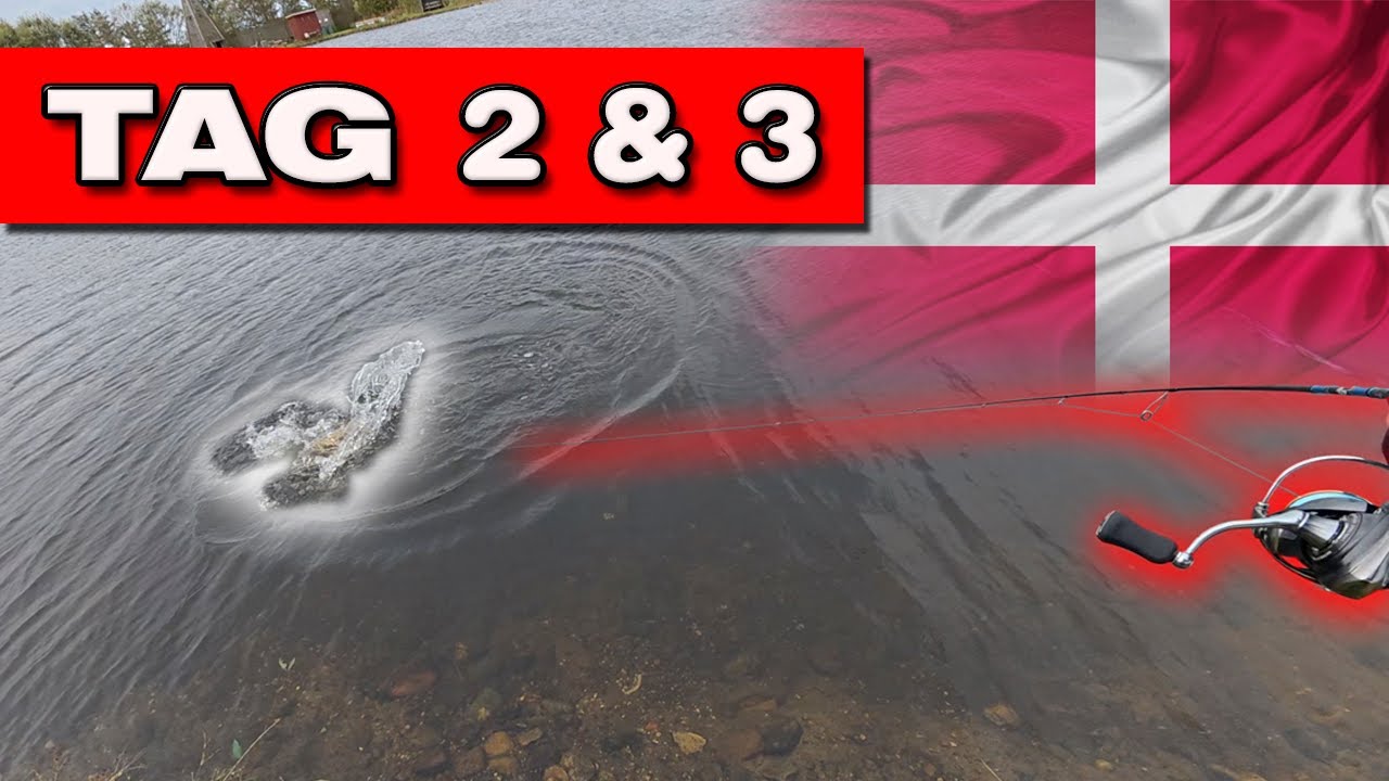 Forellenangeln in Dänemark | Tag 2  & 3 Loch Nees| Beakmarksbro
