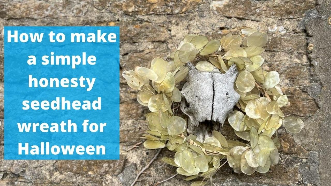 A fun dried honesty seed head project for All Saints Day (or Halloween!?!)