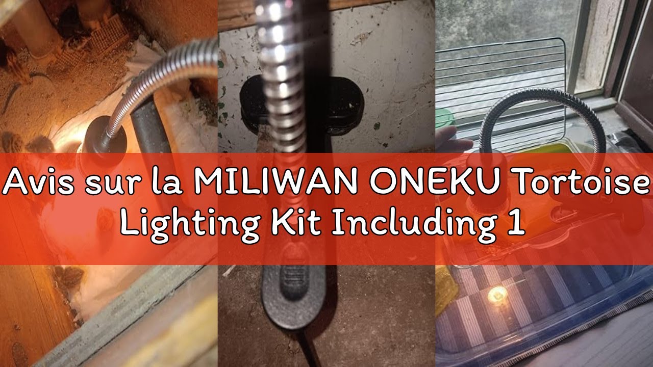 Avis sur la MILIWAN ONEKU Tortoise Lighting Kit Including 1 x E27 Socket with Potentiometer and 2 x