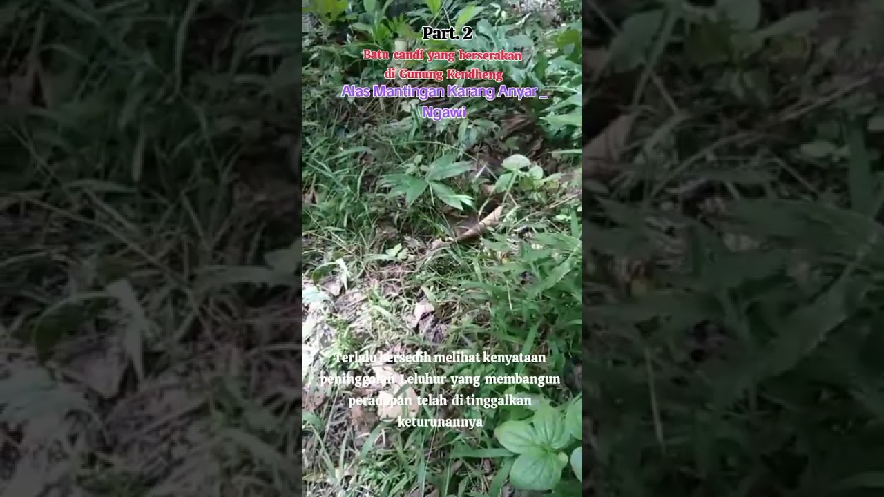 Situs baru candi berserakan di alas Mantingan Ngawi@bagosbanguntapan