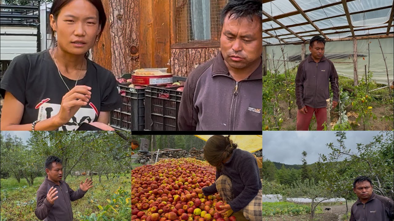 Conversations from the field 🌱🎤 – capturing the voices of our hardworking farmers….