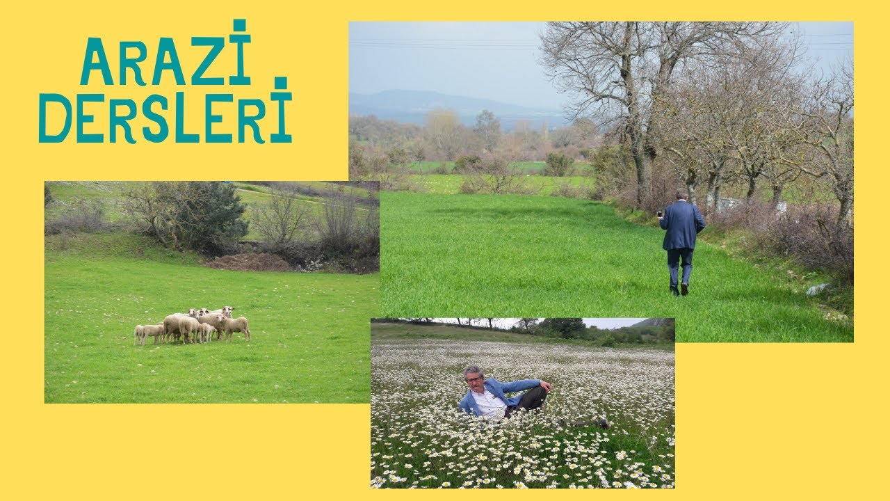 5 -Çanakkale ve Balıkesir de Araziler Neden Değerli ?