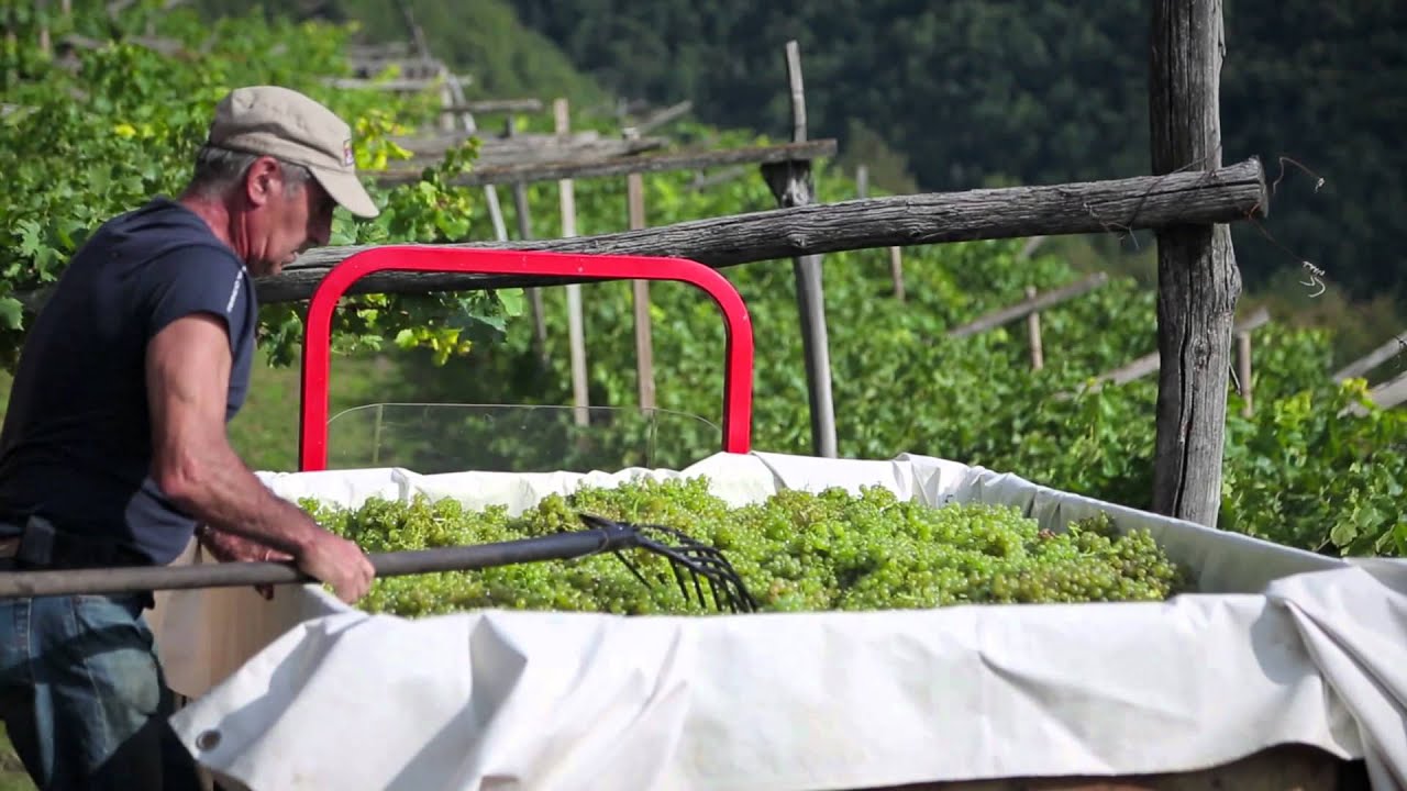 Cembra - Cantina di montagna